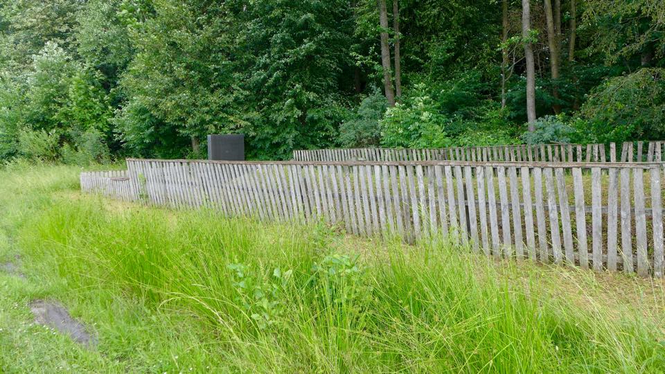 Site of a Holocaust mass grave in Romanow, Ukraine